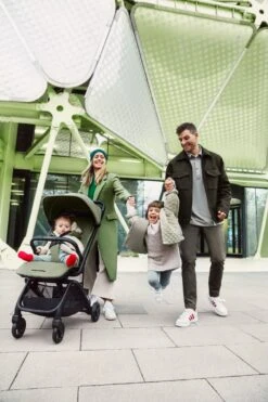 Easywalker Miley 2 -Joolz Verkoop miley2 sage green 4 147 c1 srgb